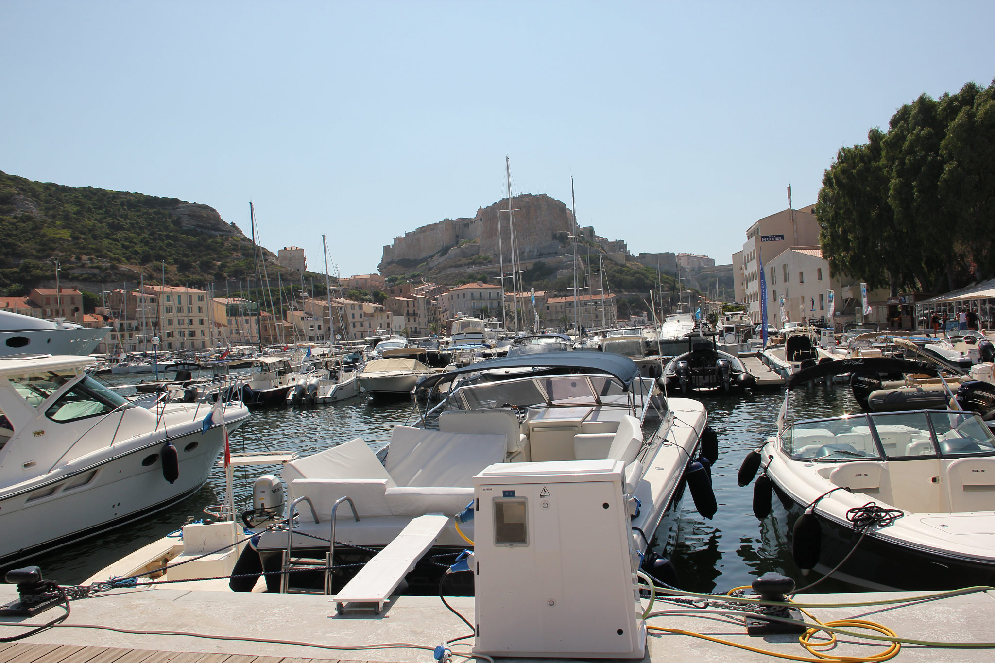 Bonifacio